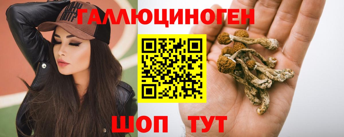 Галлюциногенные грибы Psilocybine cubensis Обь